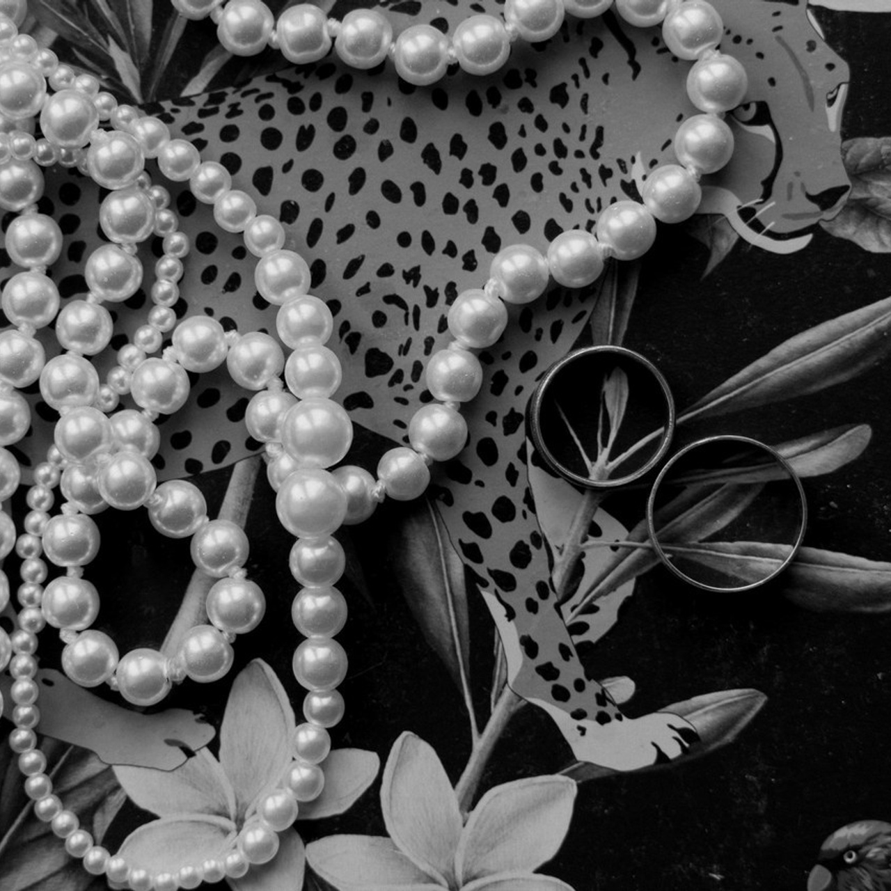 COMMENTS. Фотограф Павел Петров г. Тюмень