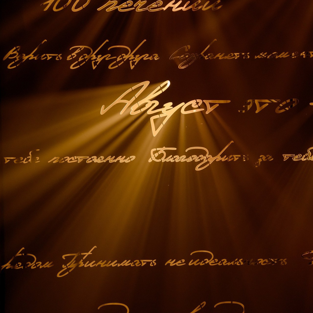 COMMENTS. Фотограф Павел Петров г. Тюмень