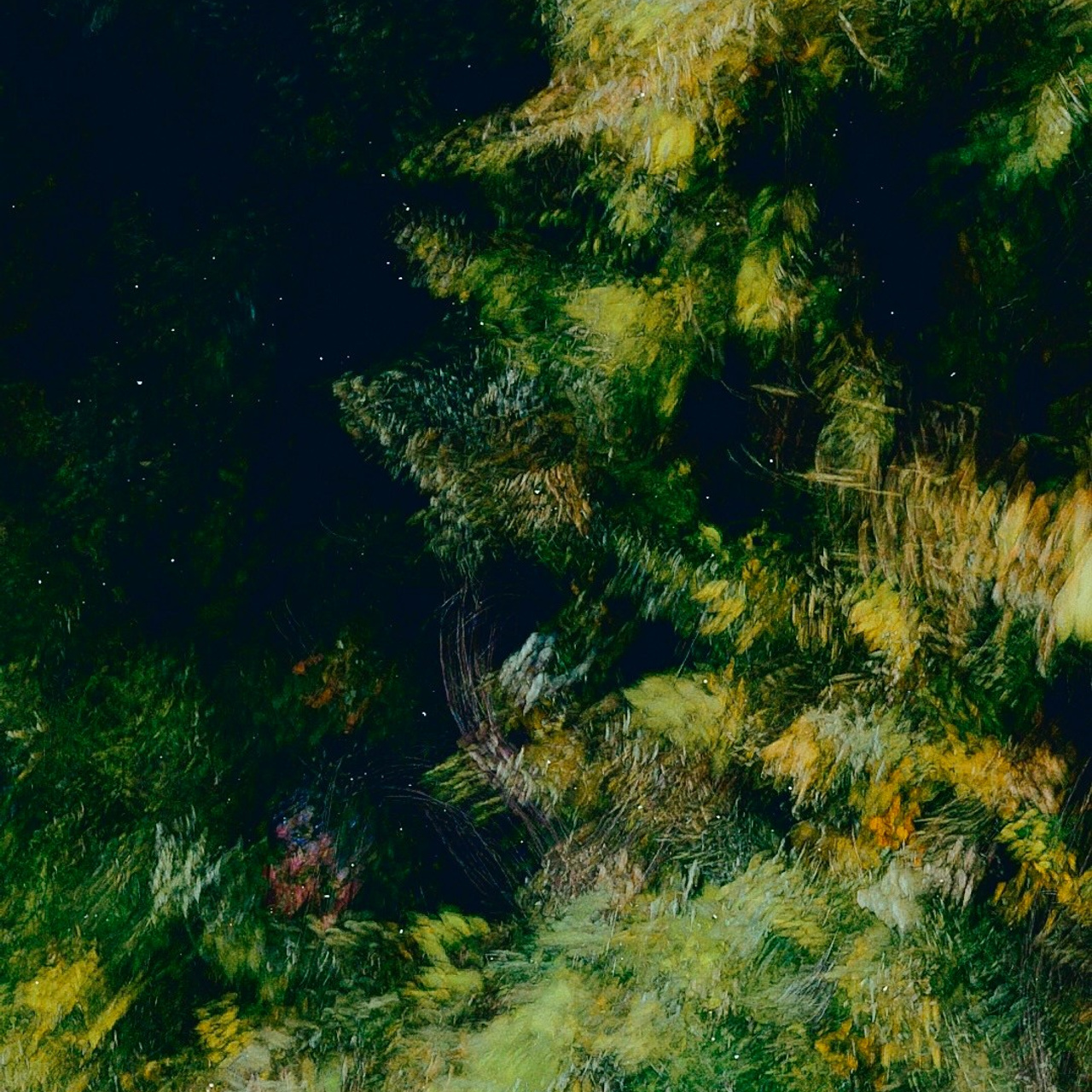 GREEN GREEN WORLD. Ширяева Ольга