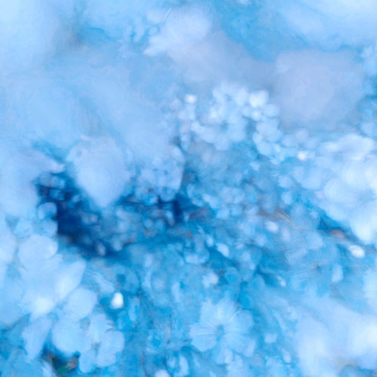 MY BLUE. Ширяева Ольга