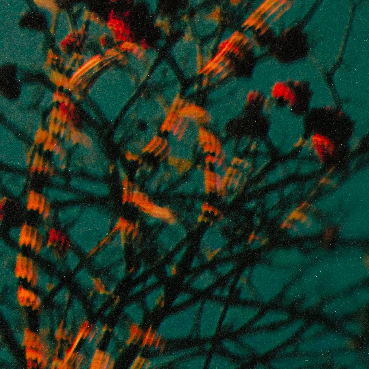 GREEN GREEN WORLD. Ширяева Ольга