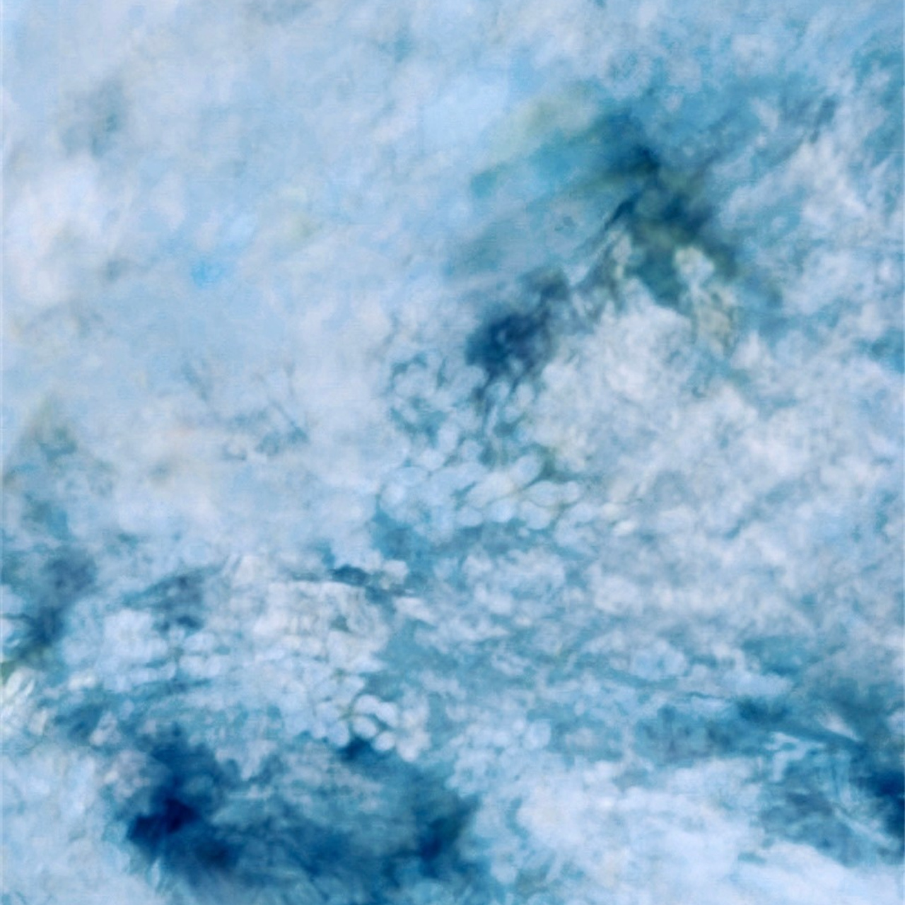 MY BLUE. Ширяева Ольга