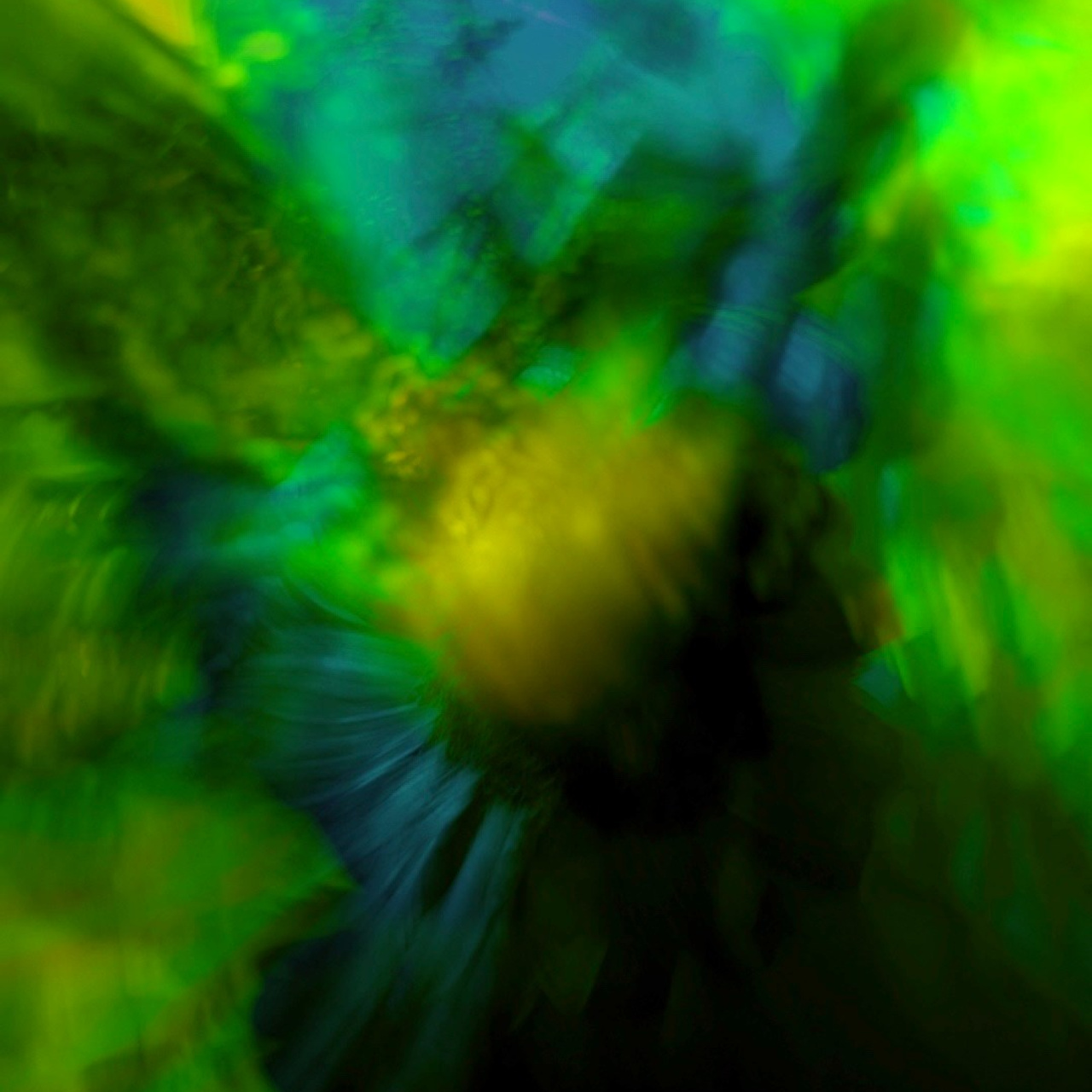 GREEN GREEN WORLD. Ширяева Ольга