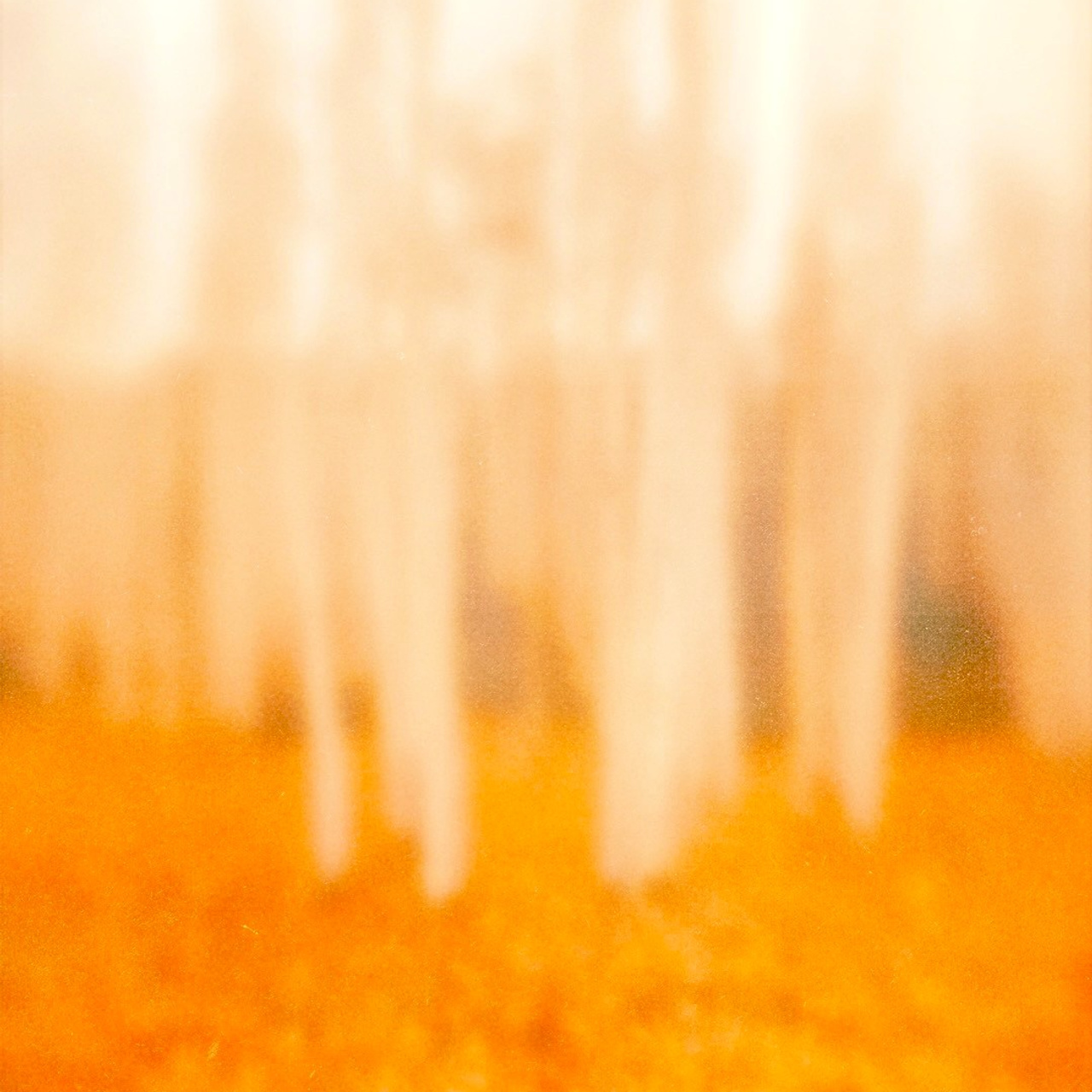 SUN. I MISS YOU…. Ширяева Ольга