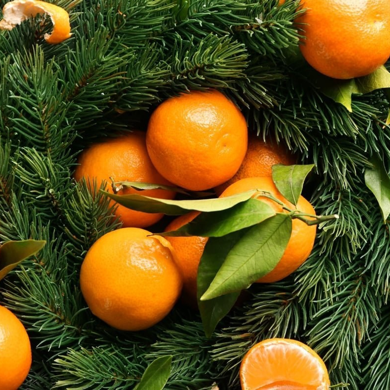 Отзывы. ZAVALIHINA.RU