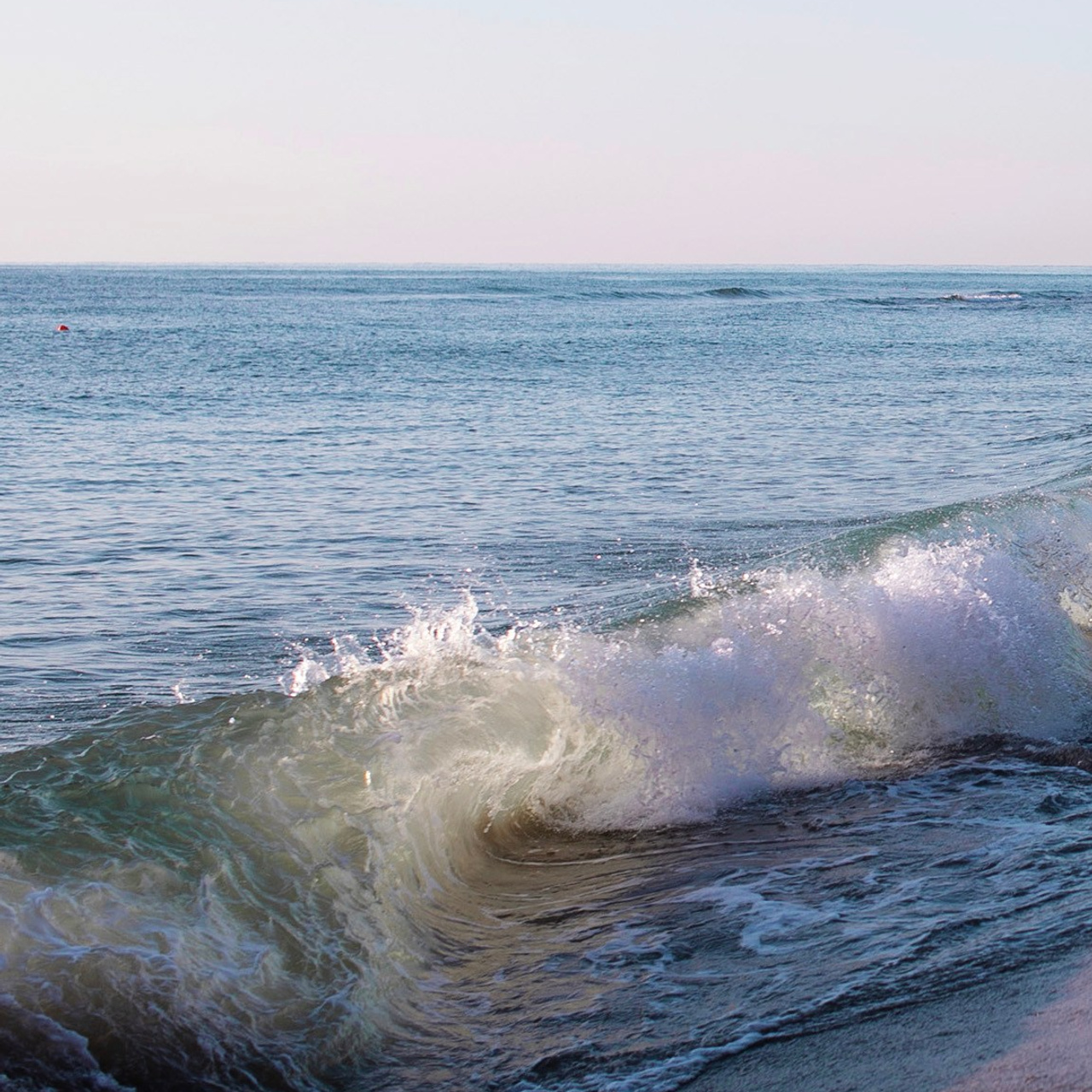 Болгария'25. Фотограф-портретист в Москве