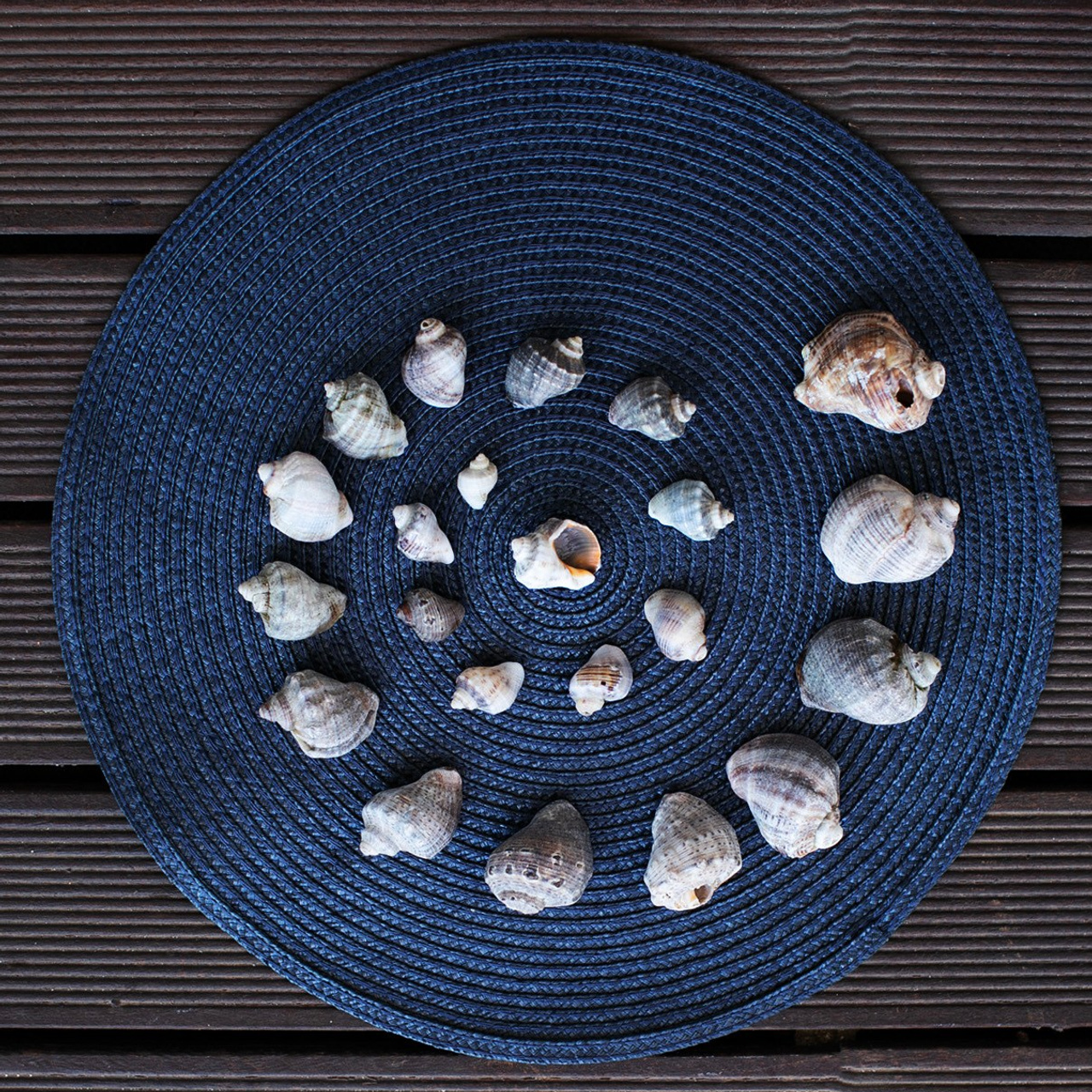 Болгария'25. Фотограф-портретист в Москве