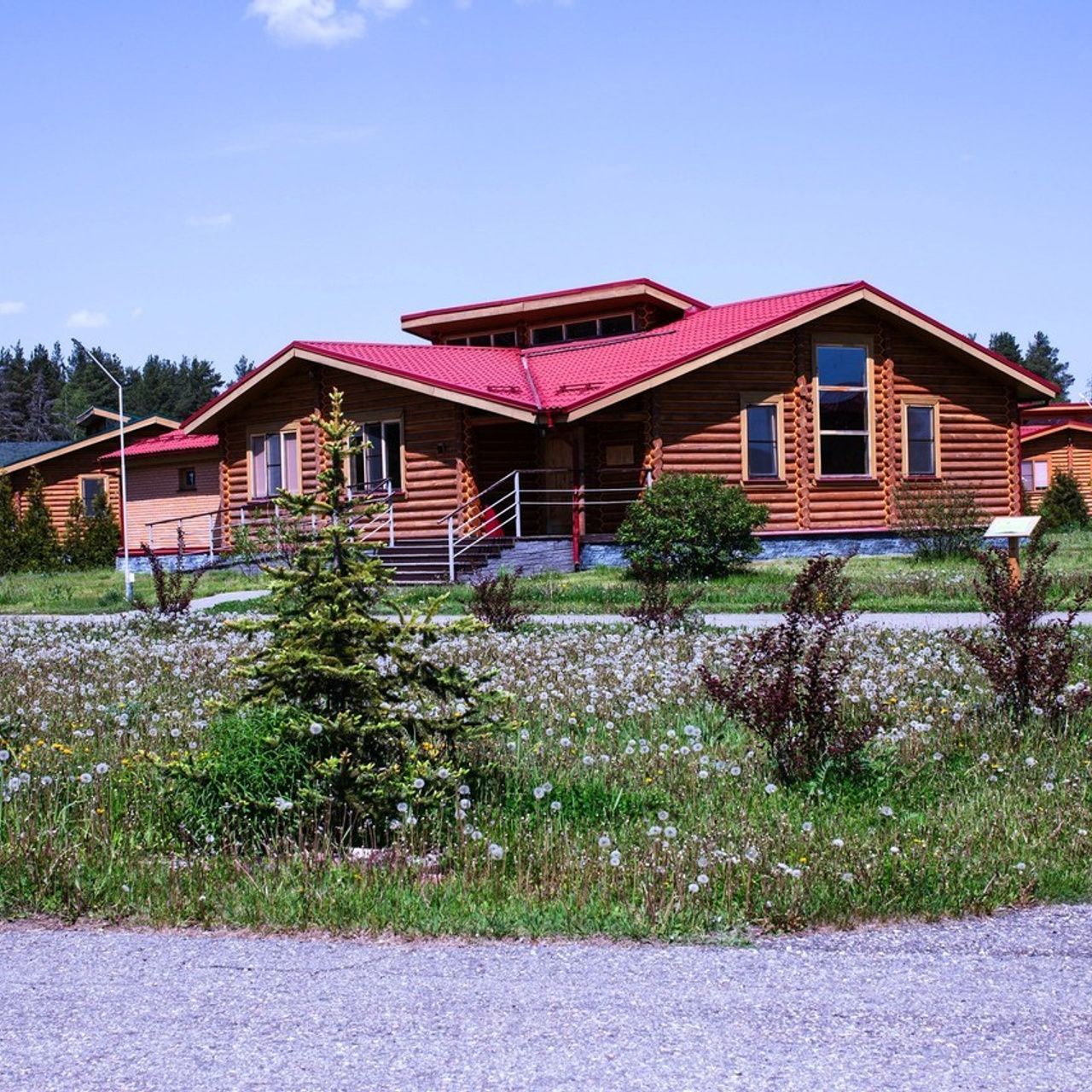 Отзывы. Фотограф-портретист в Москве