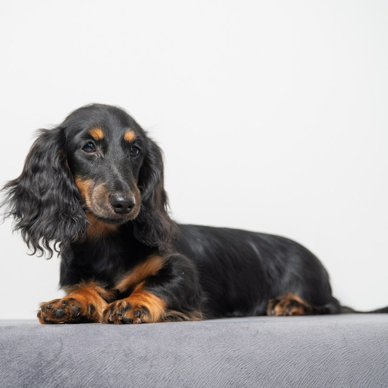 Отзывы. Коммерческий фотограф Москва /Дубай, эксклюзивные фэшн фотосессии
