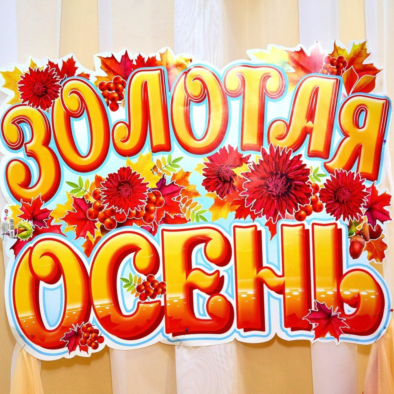 Отзывы. Фотосалон «Ракурс» в Курске