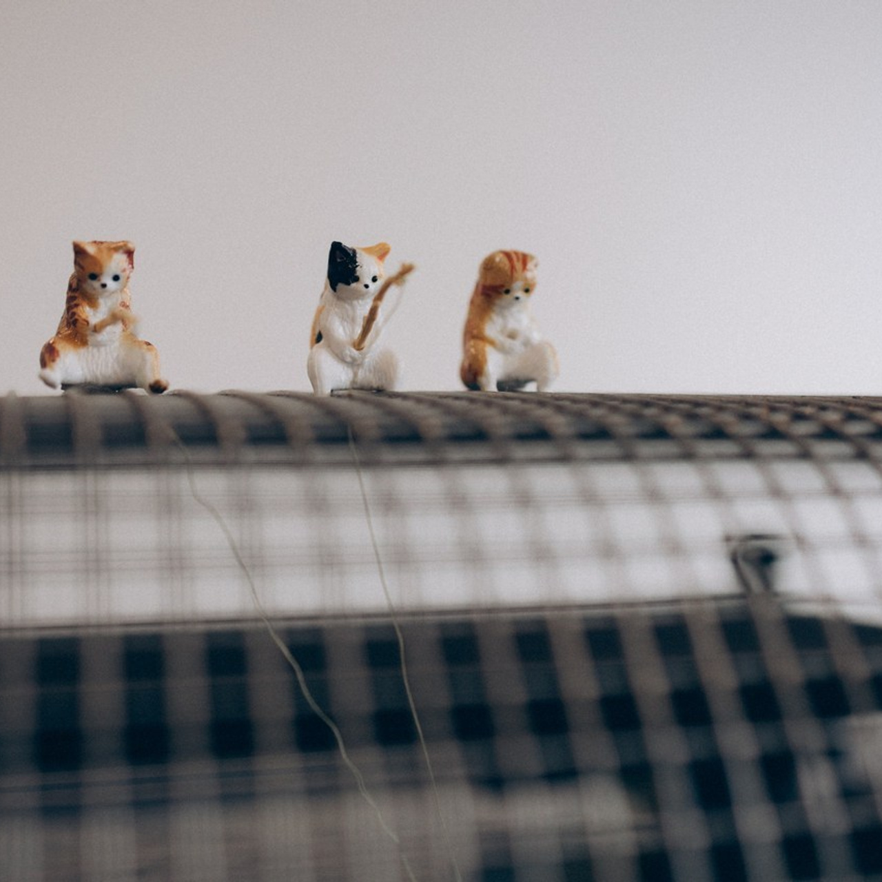 Отзывы. Семейный фотограф в Белгороде