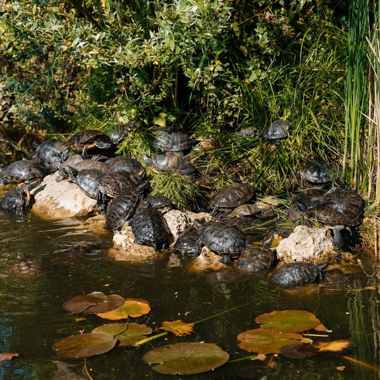 Отзывы. Фотограф Марина Верятинская | Краснодар