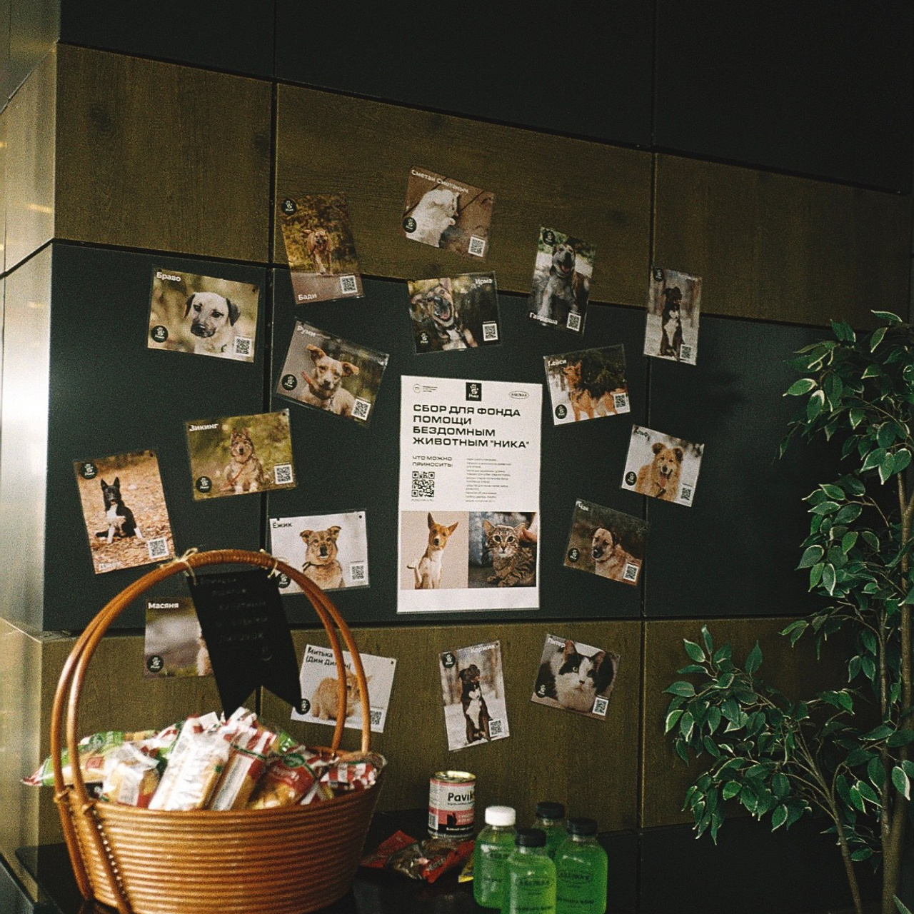 Market. Плёночный фотограф — Москва