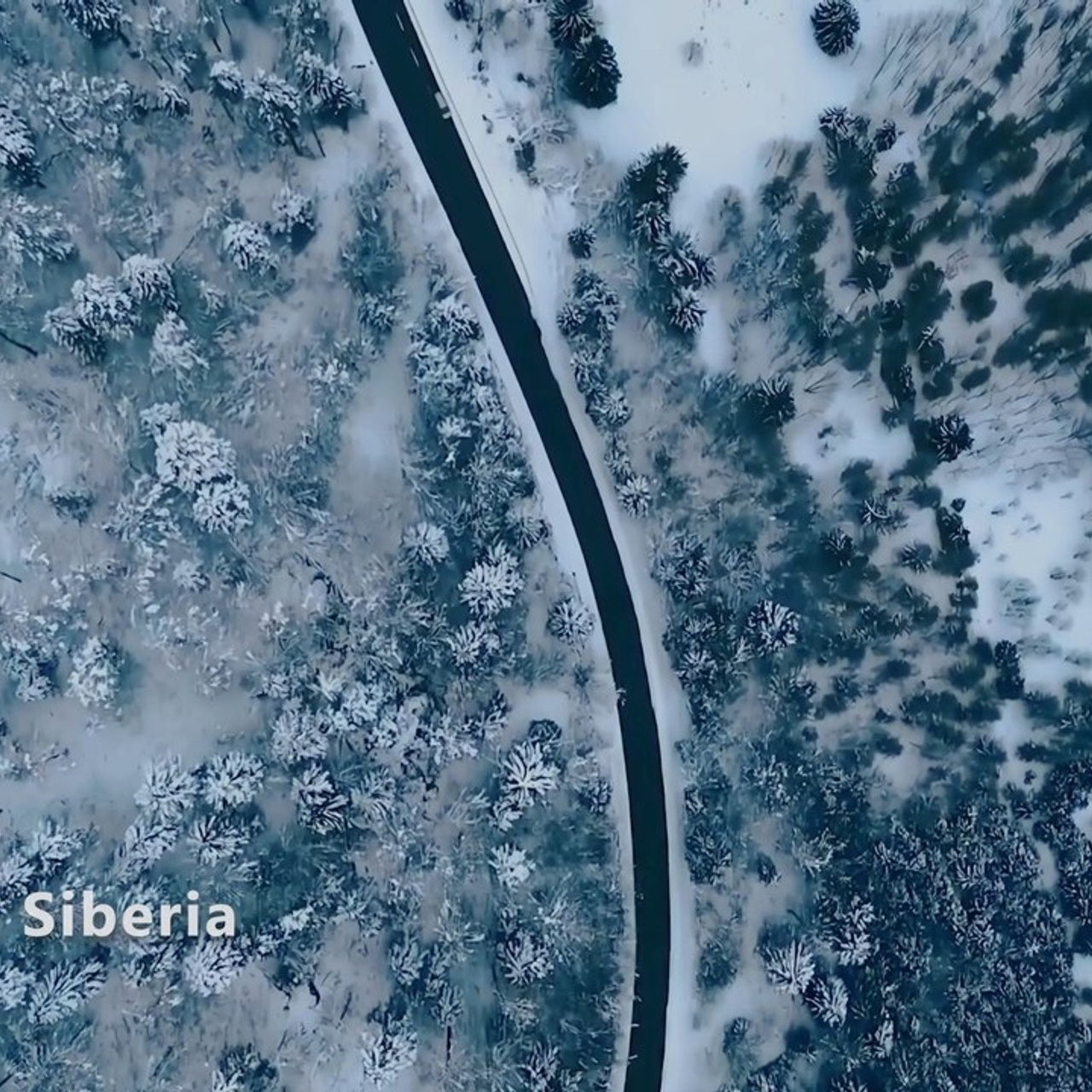 Видеосъемка отзывы. Видео для бизнеса под ваши задачи