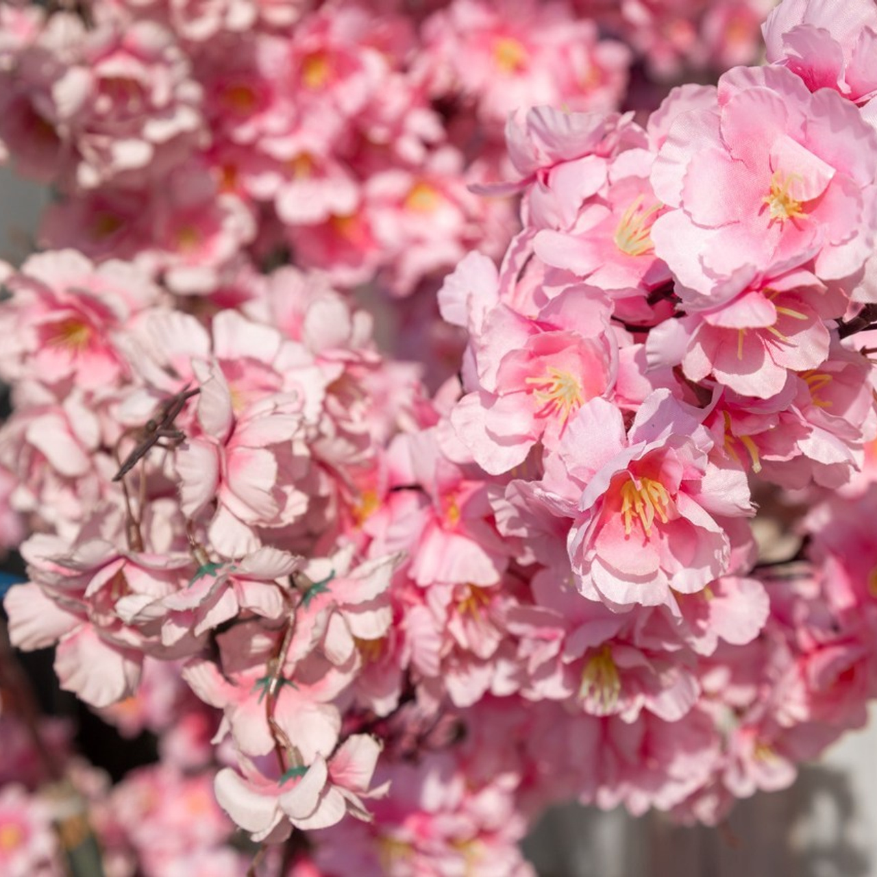 Отзывы фотографу за проведенные фотосессии. Фотограф в Санкт-Петербурге — Сергей Петров