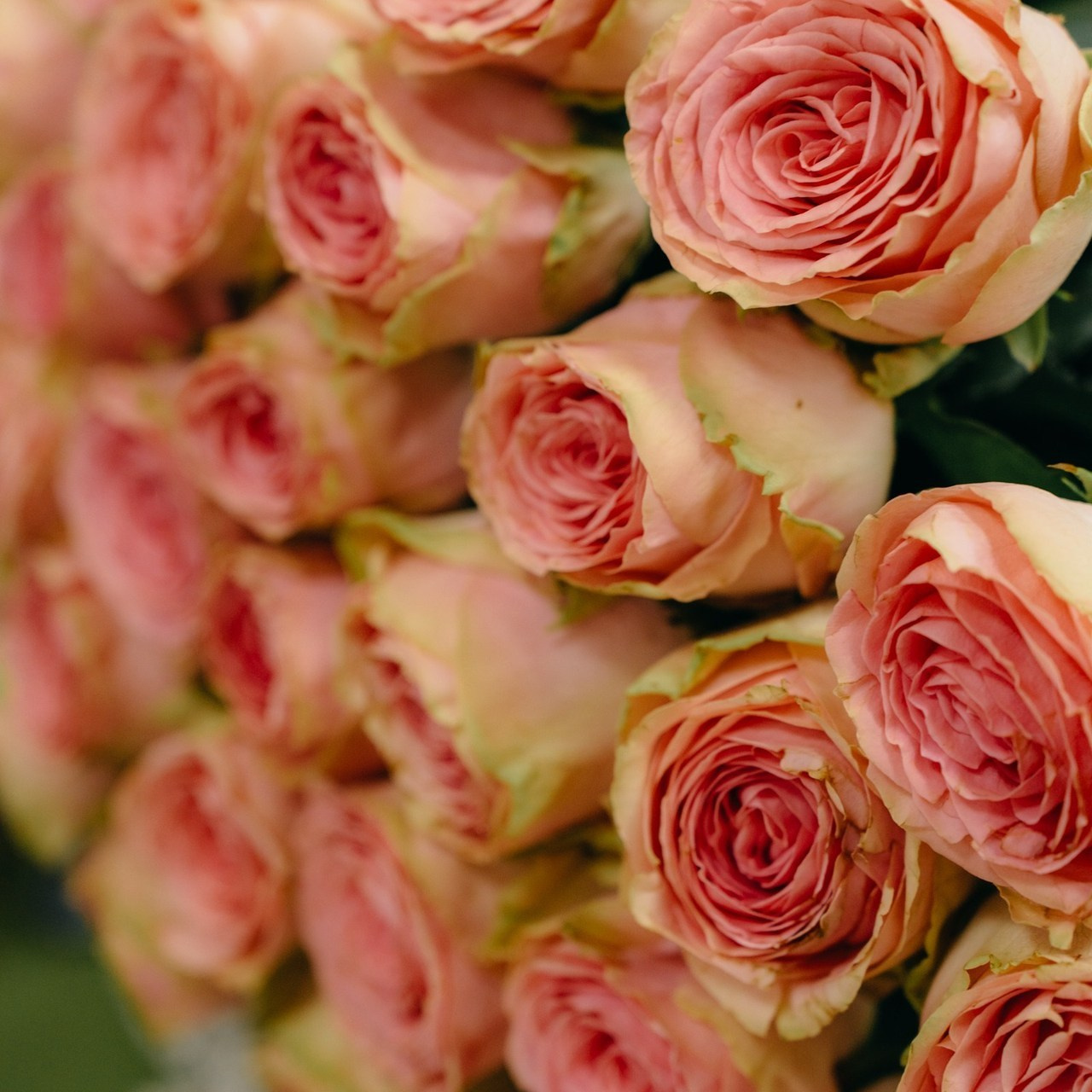 Отзывы. Фотограф LIFE STYLE