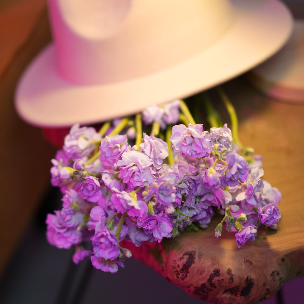 Отзывы. Фотограф в Кемерово Дарья Крамер