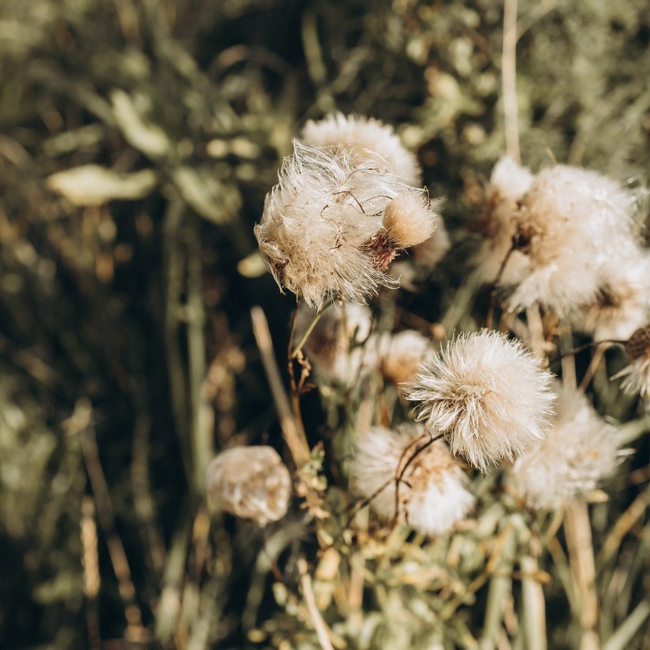 ОТЗЫВЫ. Фотограф Наталья Карякина|Челябинск