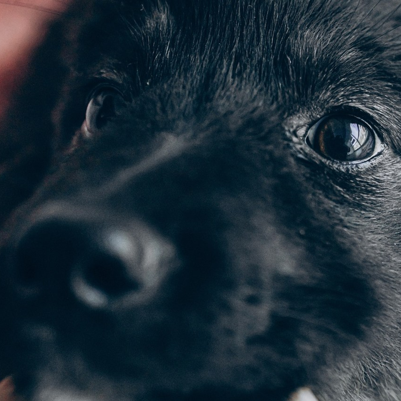 ОТЗЫВЫ. Фотограф Наталья Карякина|Челябинск