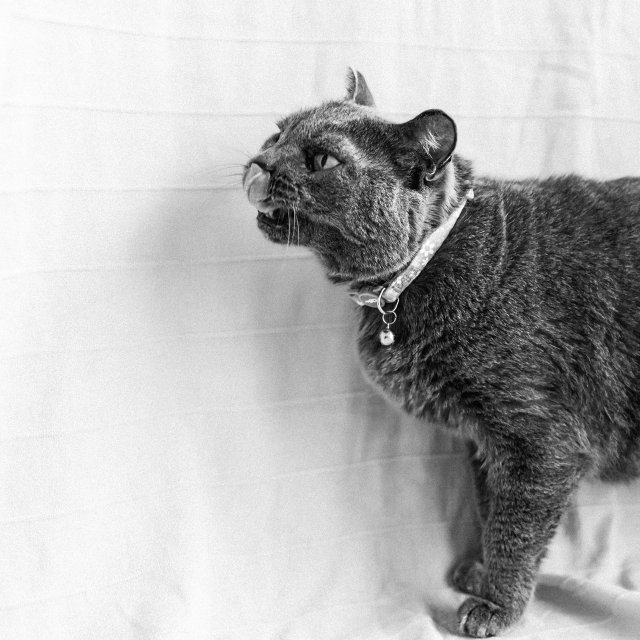 ОТЗЫВЫ. Фотограф Наталья Карякина|Челябинск