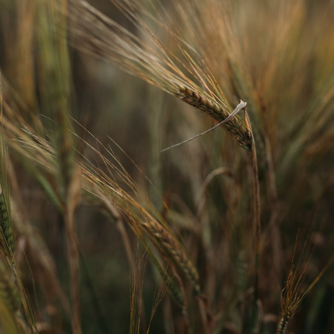 Отзывы. Фотограф для мам Екатеринбург
