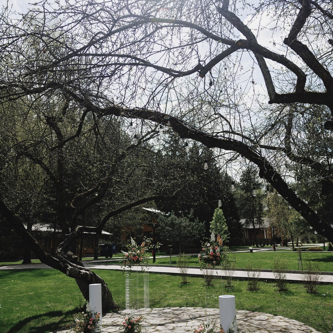 Отзывы. Свадебный фотограф и видеограф Дмитрий Горяченков