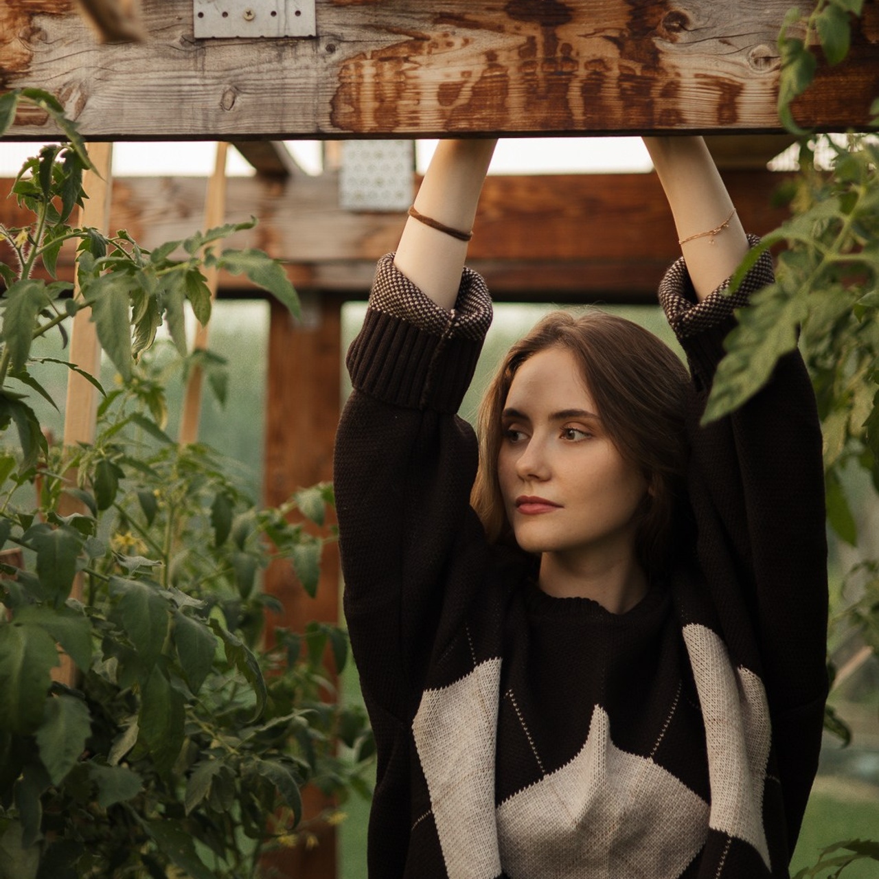 Огород + Поле