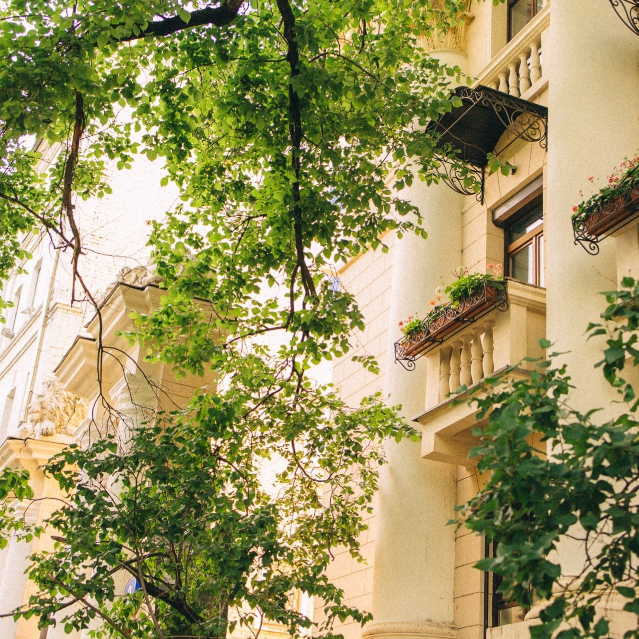 Отзывы. Фотограф в Москве и Домодедово Ирина Коростелева