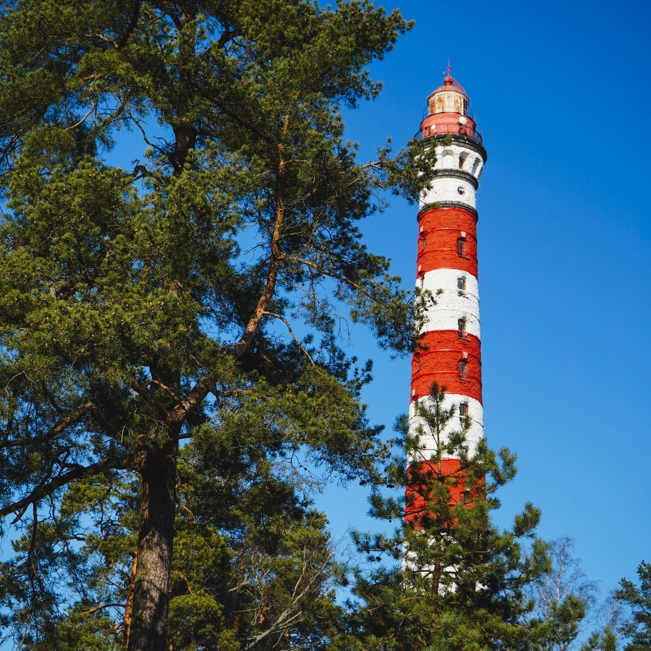 Отзывы. Фотограф в Санкт-Петербурге CHASOVPHOTO