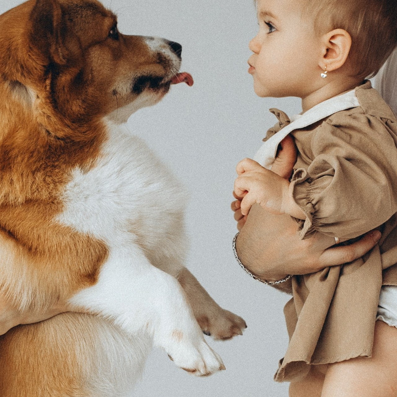 Отзывы. Фотограф в Нижнем Новгороде Лебедева Елена