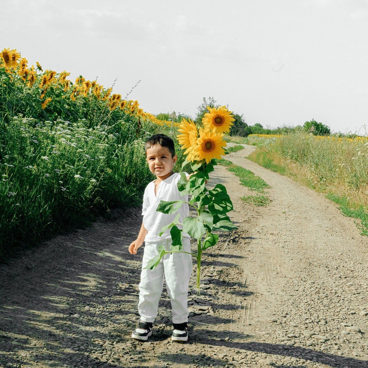 Отзывы. Фотограф Краснодарский край