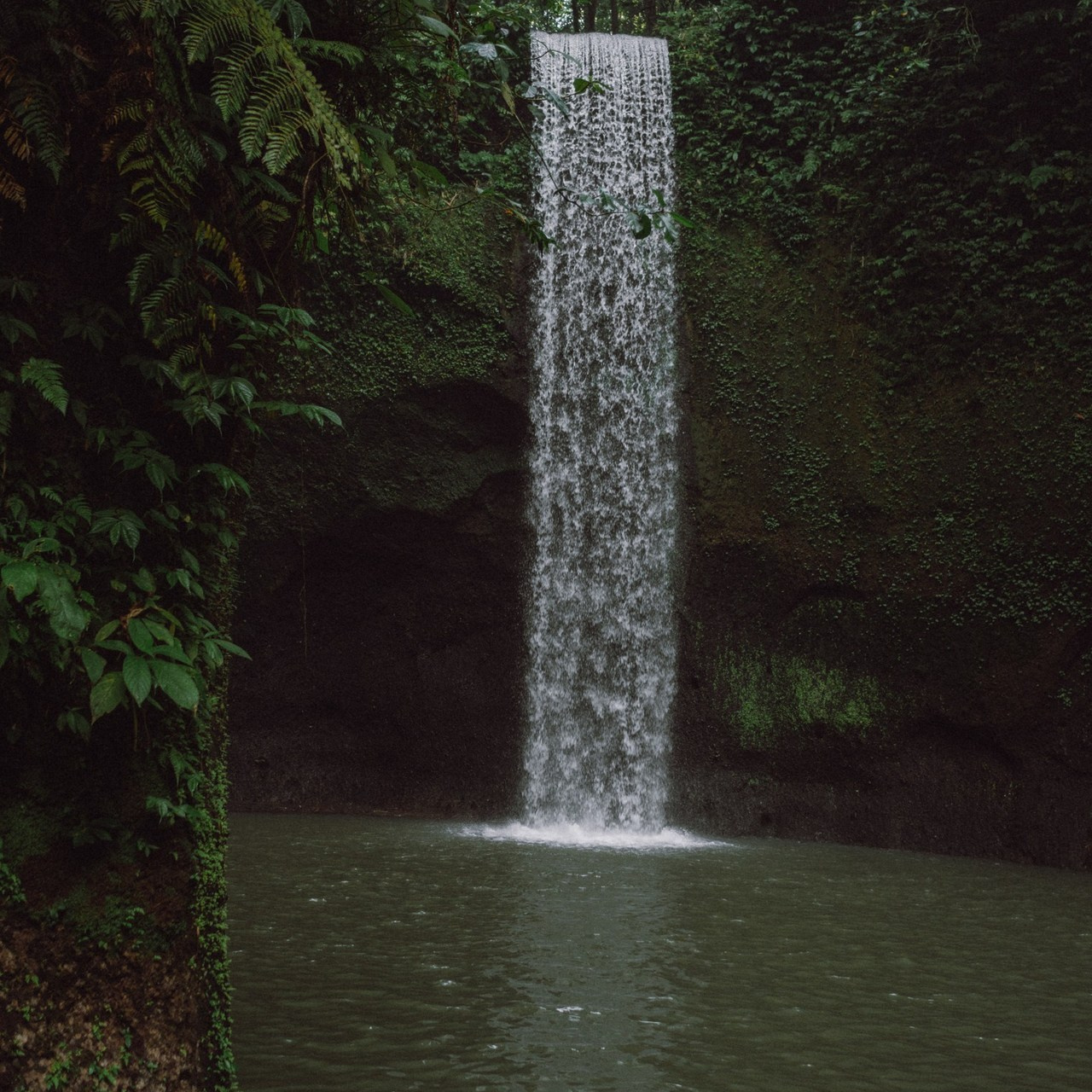 Отзывы. Фотограф Бали
