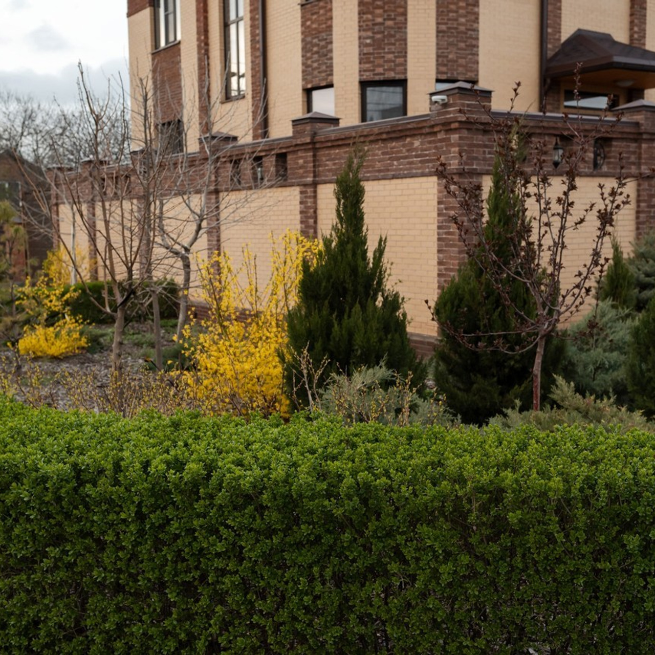 Отзывы. Семейный фотограф в Ростове-на-Дону Татьяна Литвинова