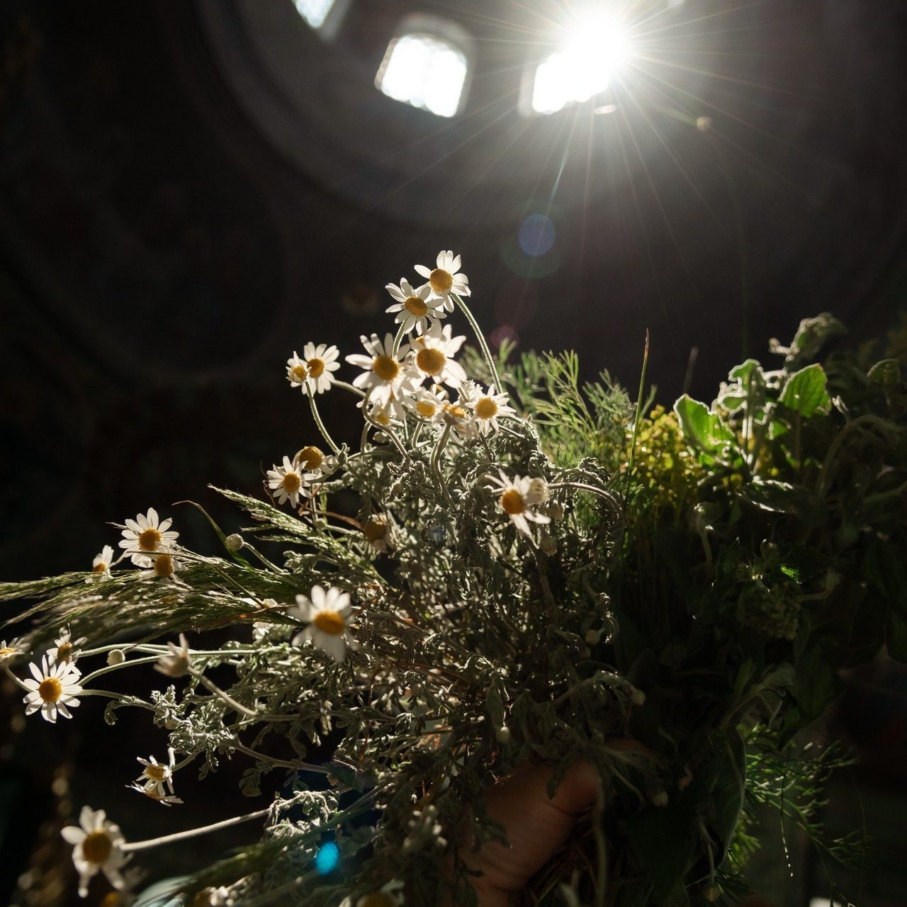 Отзывы. Семейный фотограф в Ростове-на-Дону Татьяна Литвинова