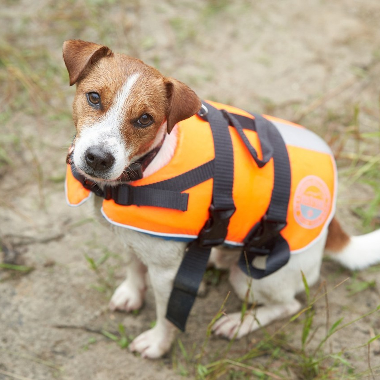 Отзывы. Алекс Антипин Фотограф Сургут
