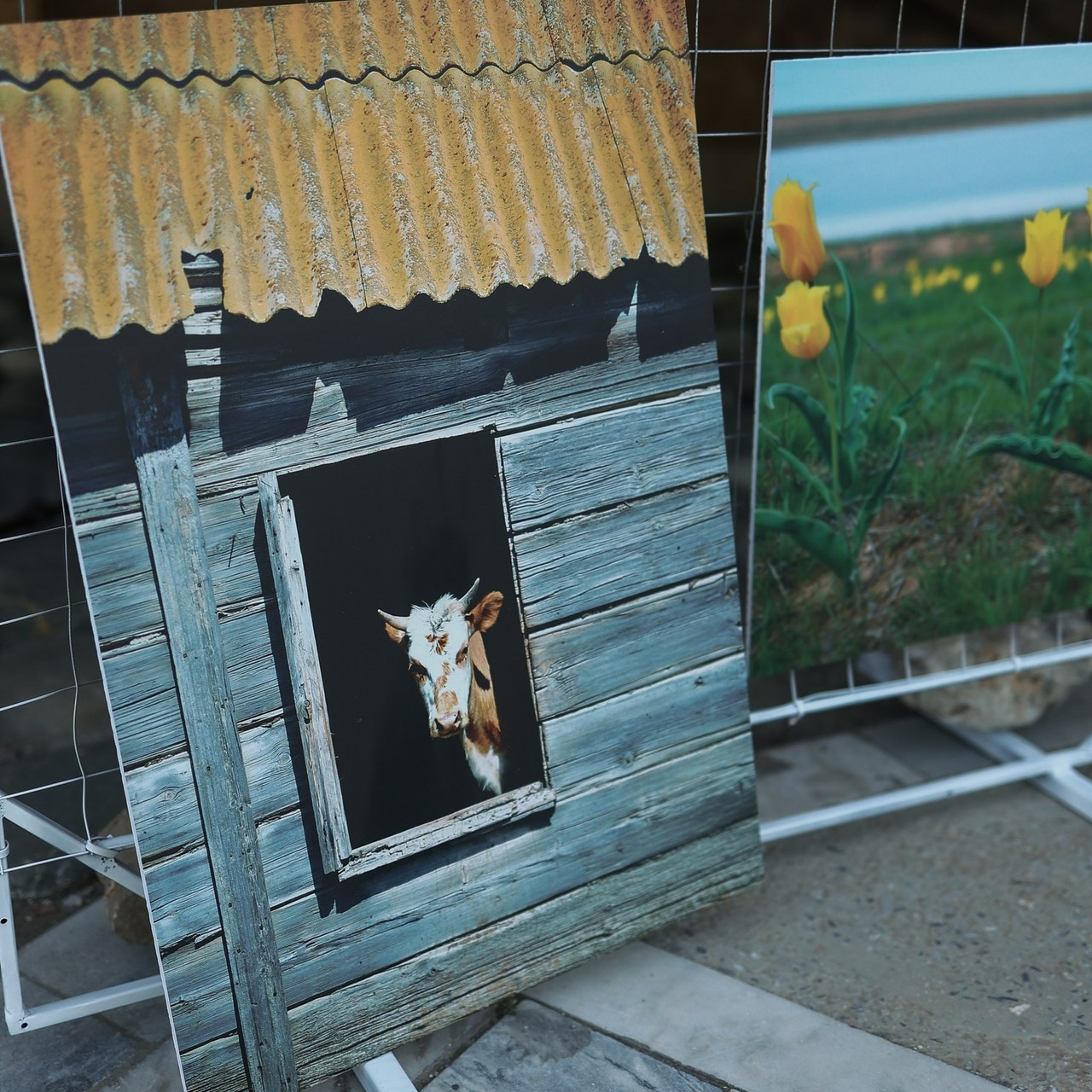 Отзывы. Татьяна Бесчастнова. Ваш семейный фотограф