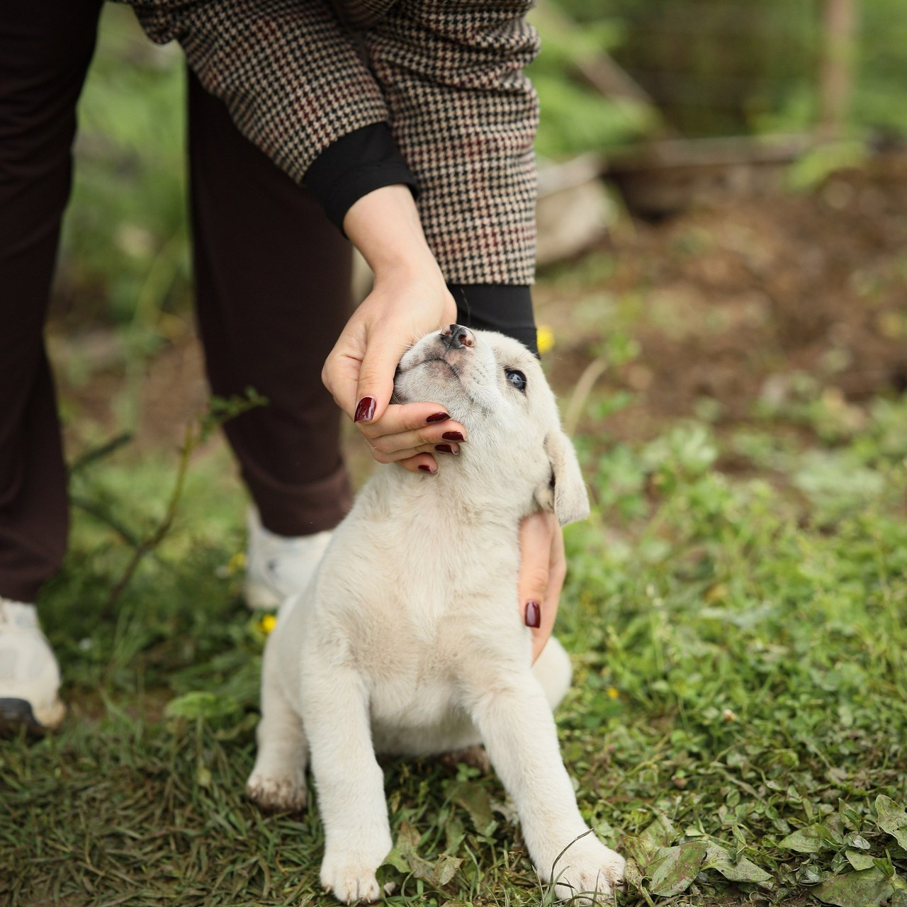 Отзывы. Свадебный и семейный фотограф в Абхазии Жанна Соснина