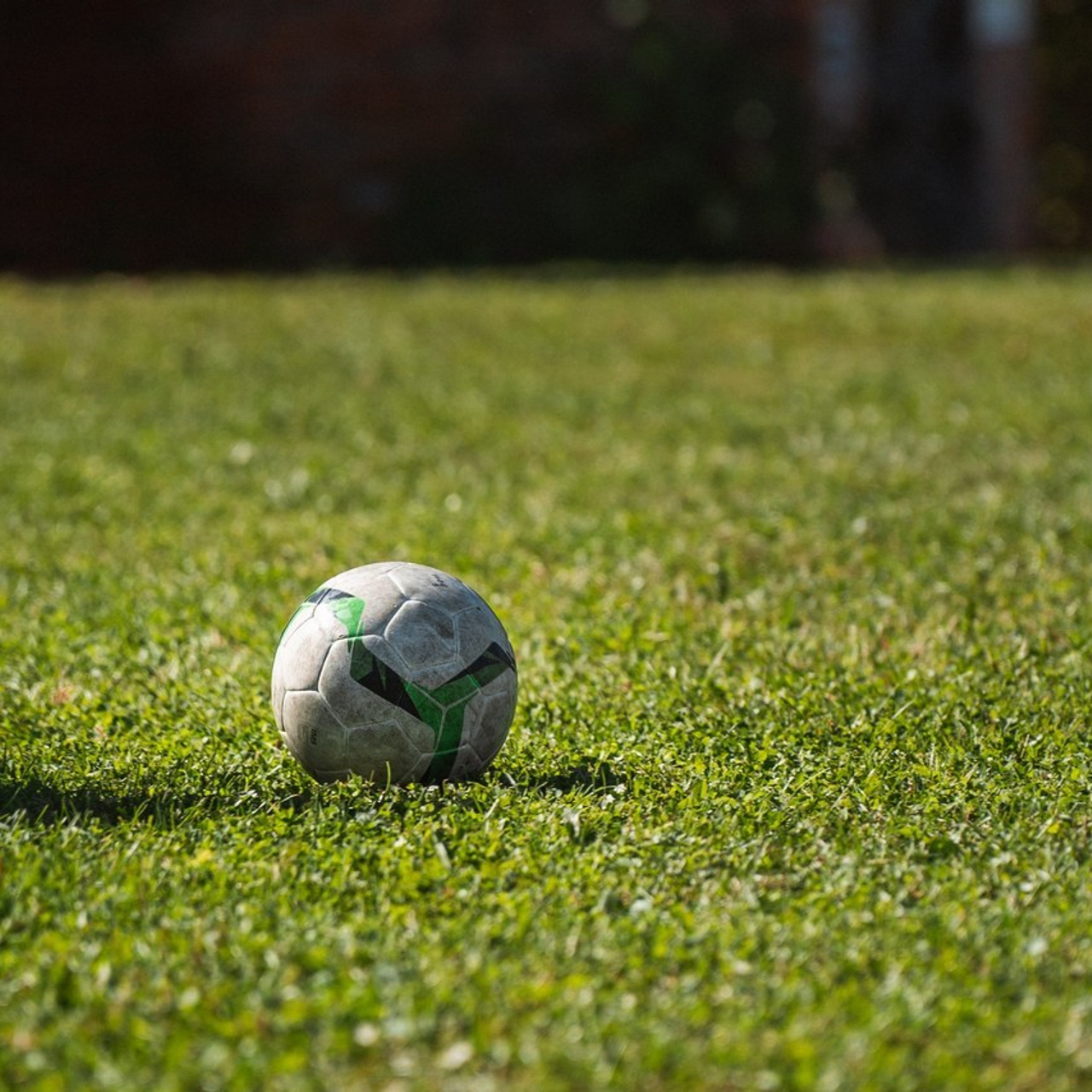 Отзывы. Профессиональный фотограф в Хабаровске Артём Паймуллин