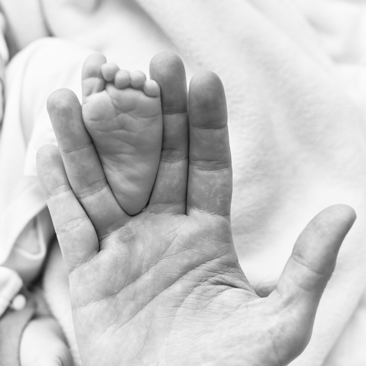 Ваши отзывы о моей работе. Фотограф новорожденных в Краснодаре Мария Кот