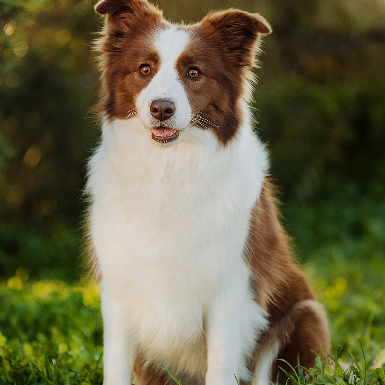 Отзывы. Фотограф Ксения Ресси