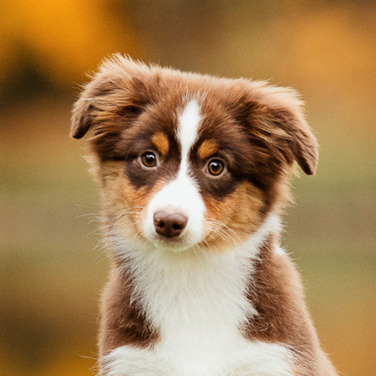 Отзывы. Фотограф Ксения Ресси