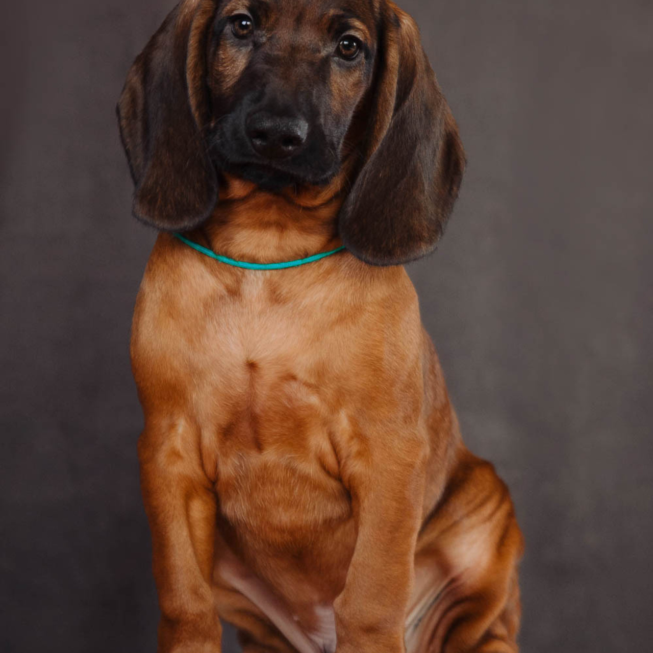 Отзывы. Фотограф Ксения Ресси