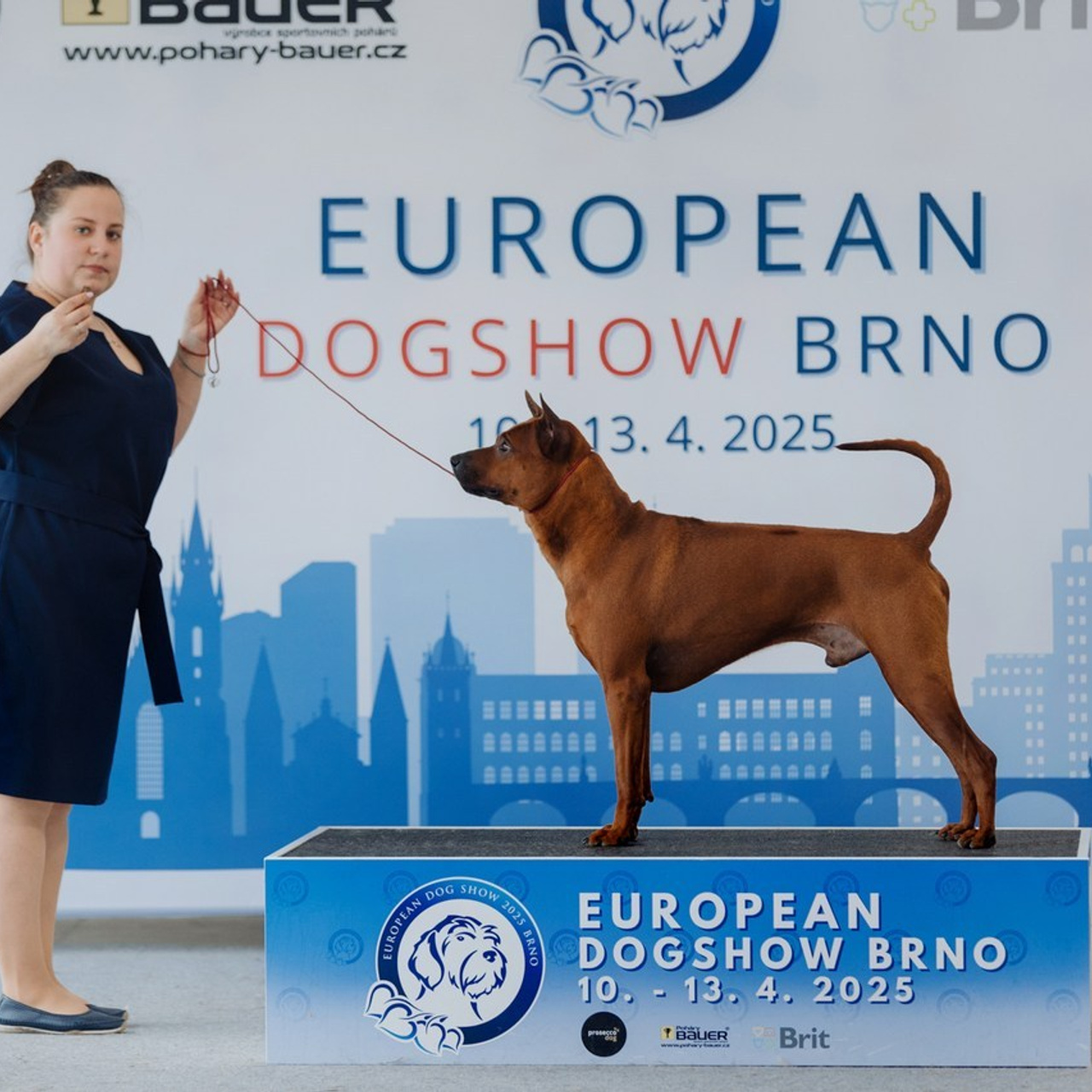 Отзывы. Фотограф Ксения Ресси