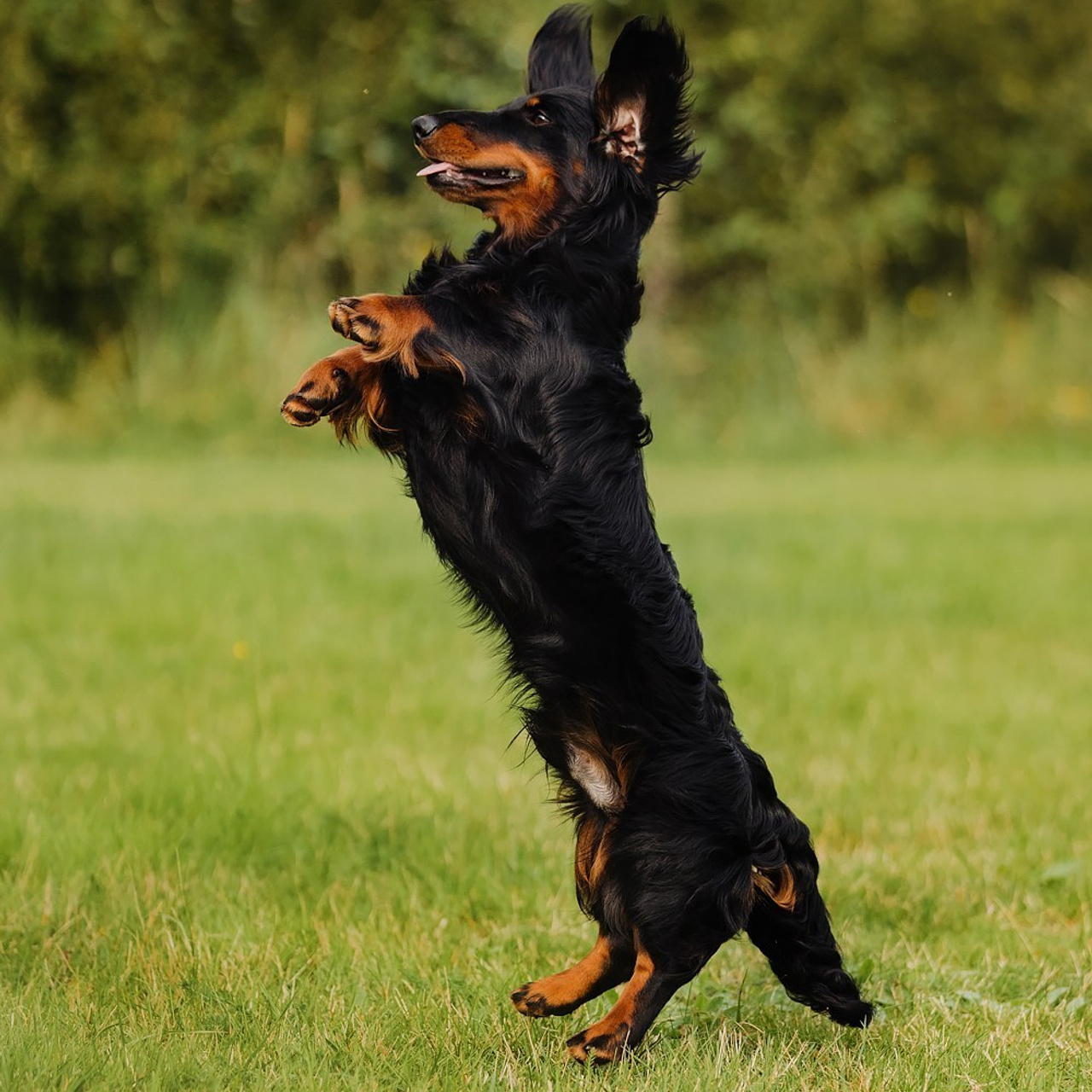 Отзывы. Фотограф Ксения Ресси