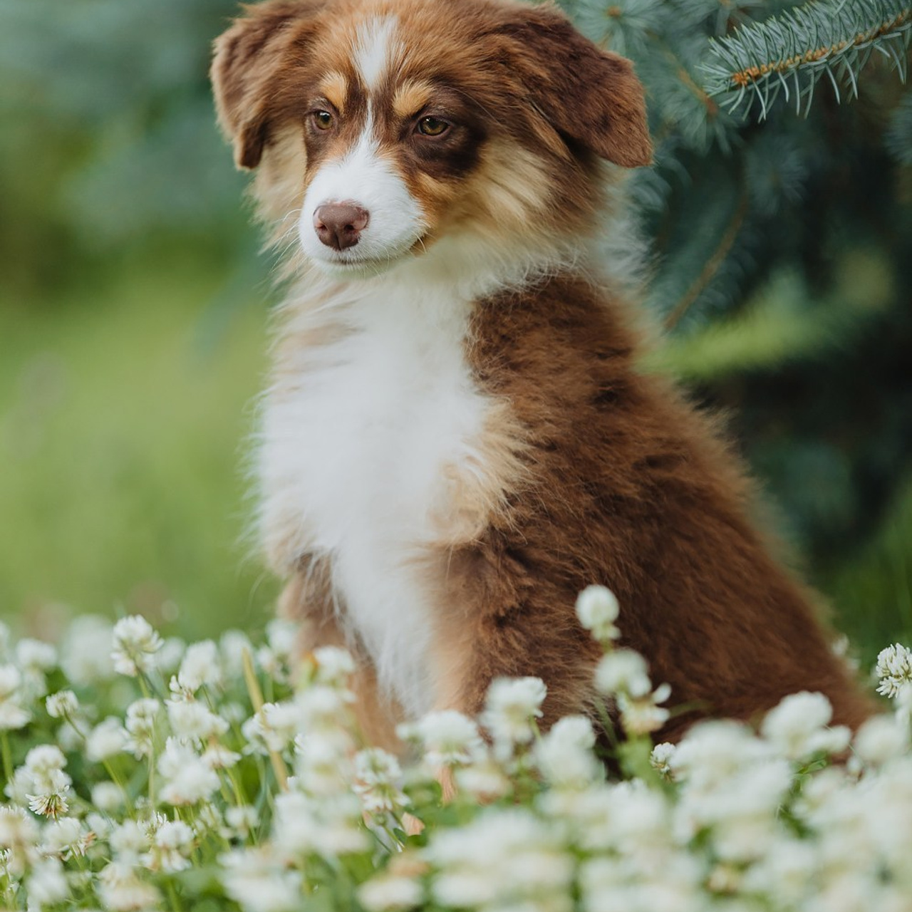 Отзывы. Фотограф Ксения Ресси