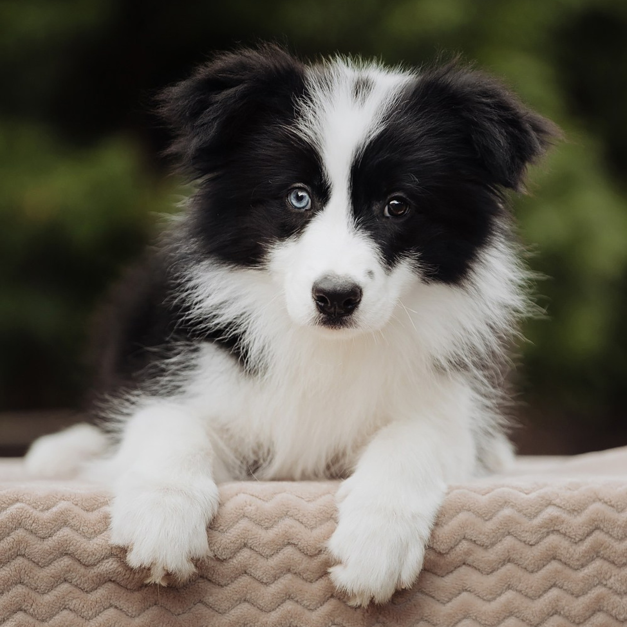 Отзывы. Фотограф Ксения Ресси