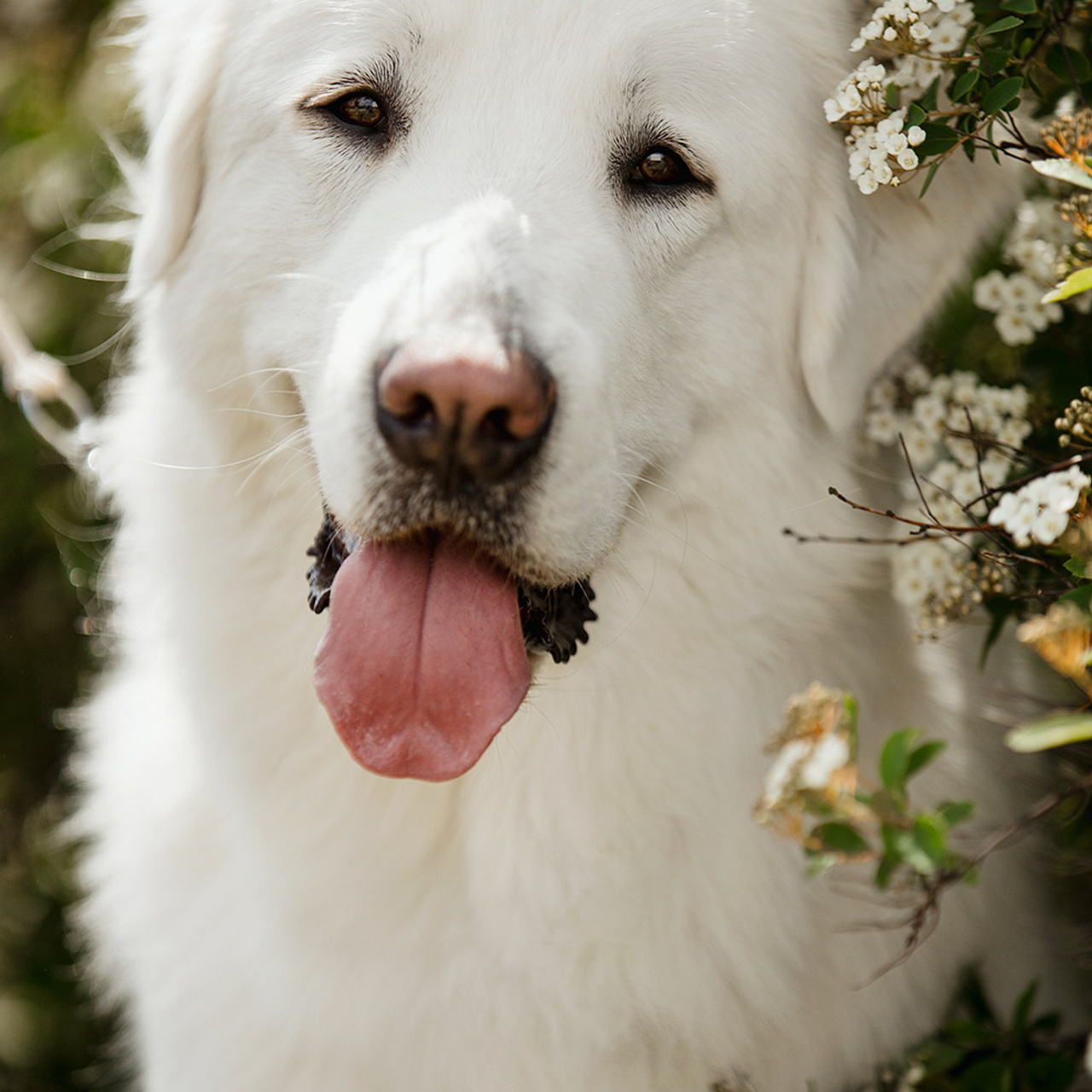Отзывы. Фотограф Ксения Ресси