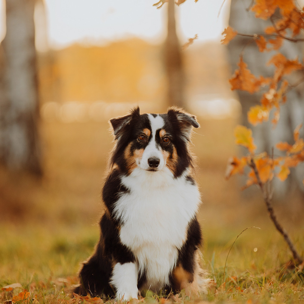Отзывы. Фотограф Ксения Ресси