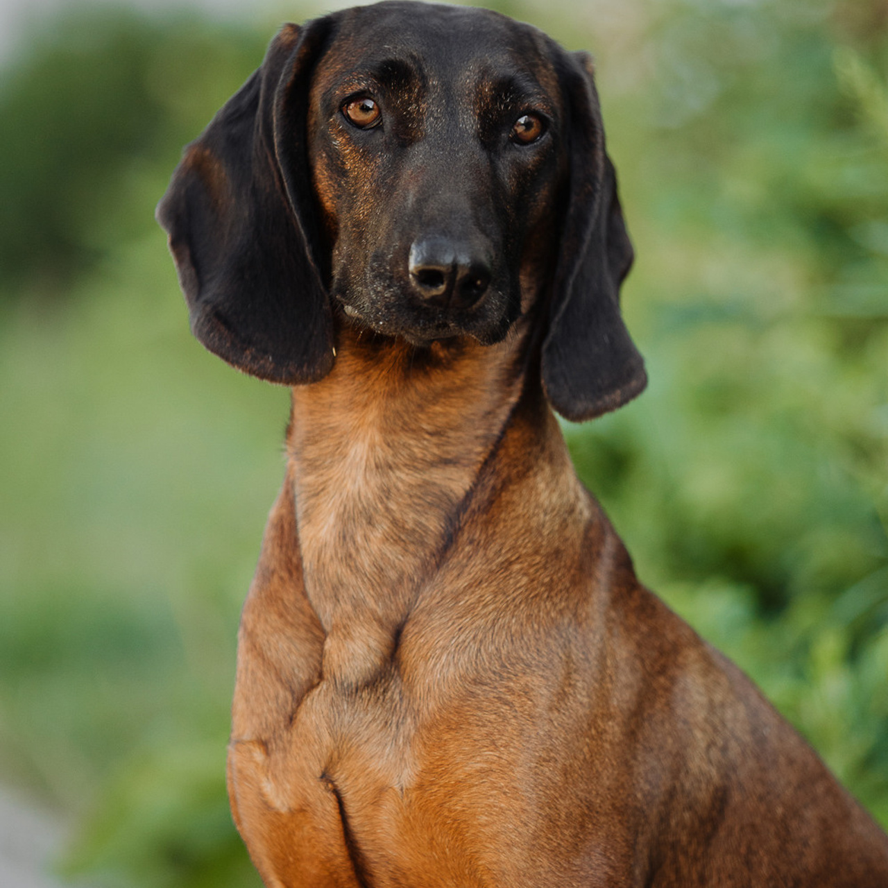 Отзывы. Фотограф Ксения Ресси