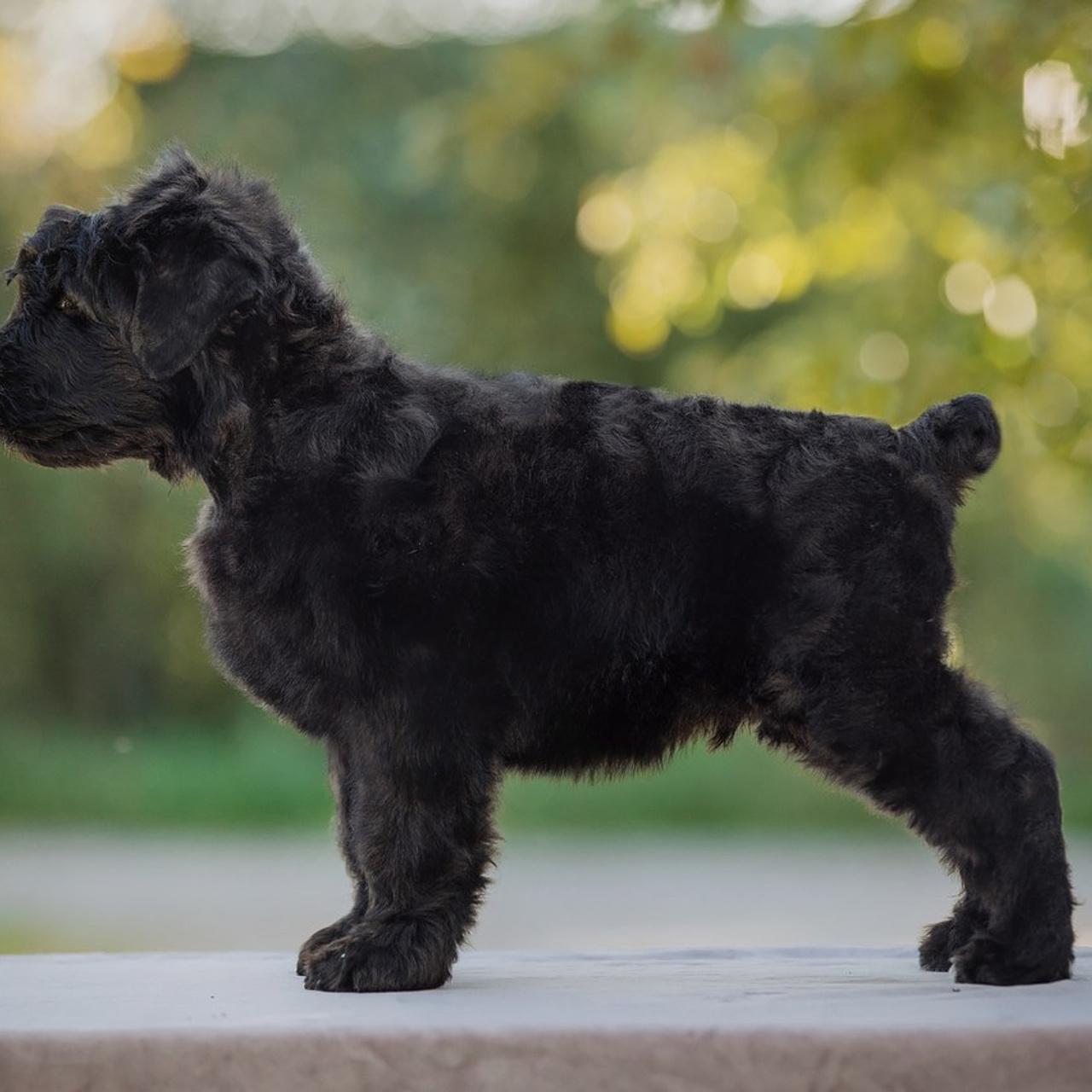 Отзывы. Фотограф Ксения Ресси